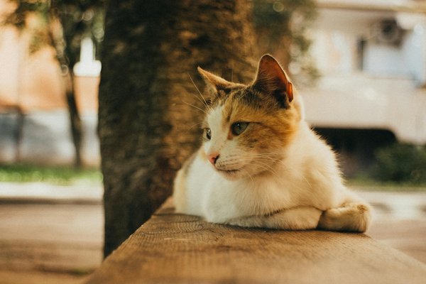 How Can Innovative Startups Reshape the Future of the UK Business Landscape?