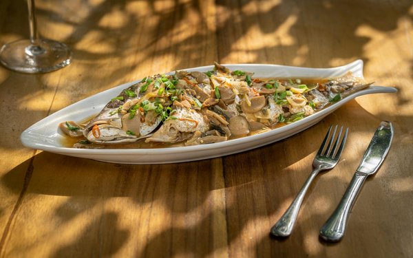 What Makes England So Pet-Friendly?